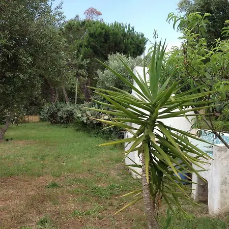 Le Rosa Vicino Tropea Vakantiehuis *