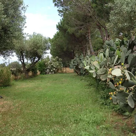 Le Rosa Vicino Tropea *