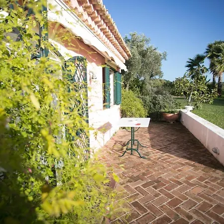 Le Rosa Vicino Tropea Santa Domenica (Vibo Valentia)