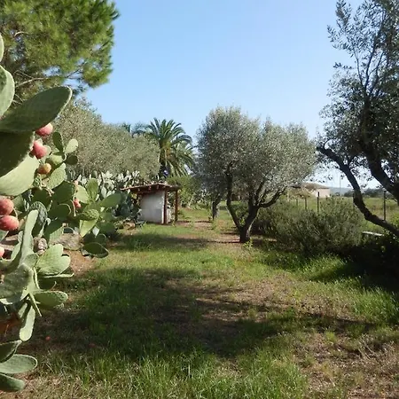 Le Rosa Vicino Tropea Holiday home