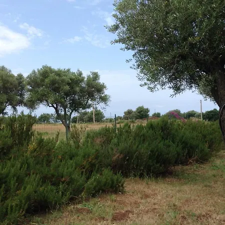 Le Rosa Vicino Tropea