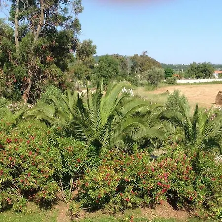 Le Rosa Vicino Tropea