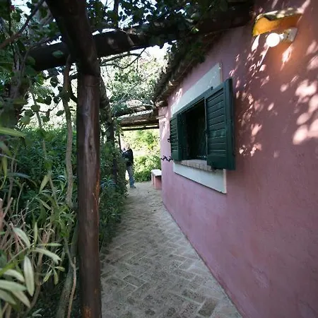 Holiday home Le Rosa Vicino Tropea Santa Domenica (Vibo Valentia)