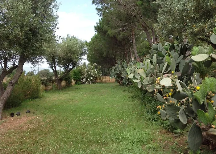 Le Rosa Vicino Tropea *