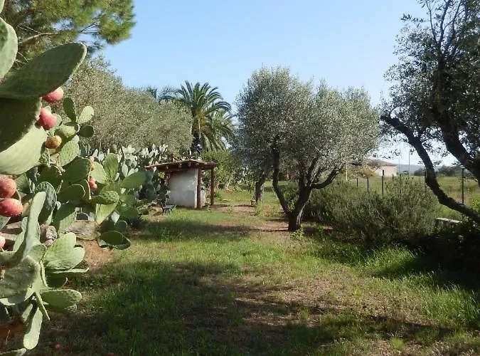 Le Rosa Vicino Tropea Casa vacanze