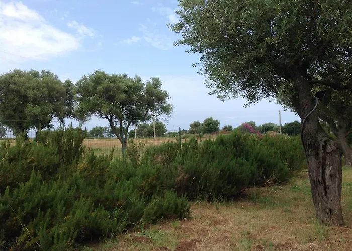 Le Rosa Vicino Tropea
