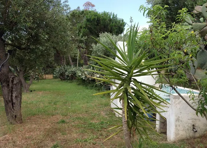 Le Rosa Vicino Tropea Casa de Férias *